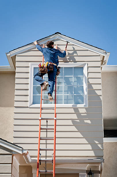 Best Steel Siding Installation  in Pine Valley, CA